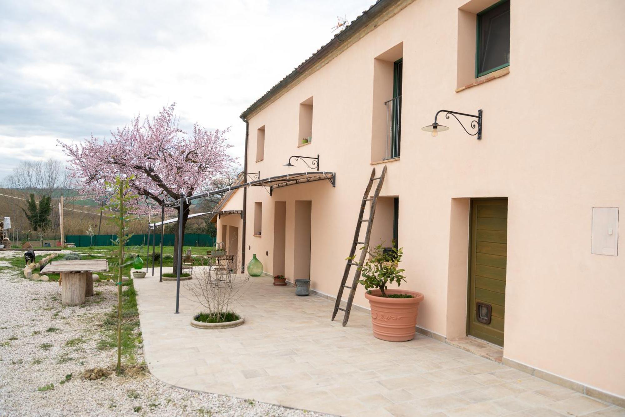 B&B Le Rondini Ostra Senigallia Casine  Extérieur photo