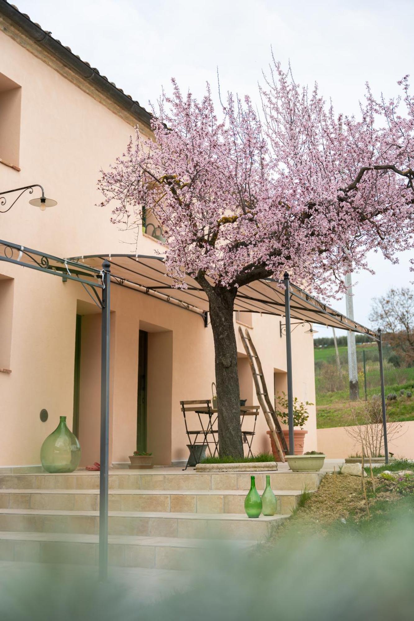B&B Le Rondini Ostra Senigallia Casine  Extérieur photo